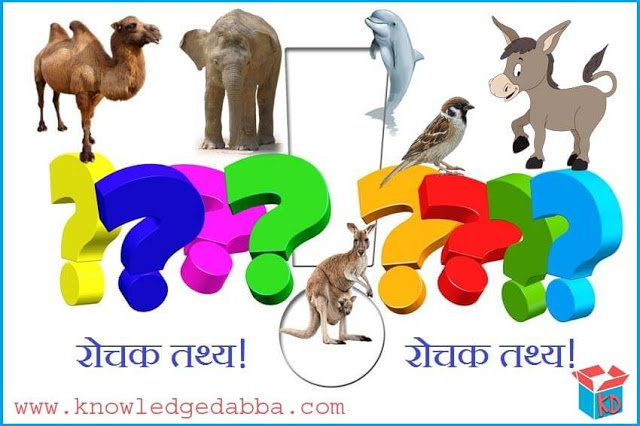 Amazing Facts About Animals In Hindi
