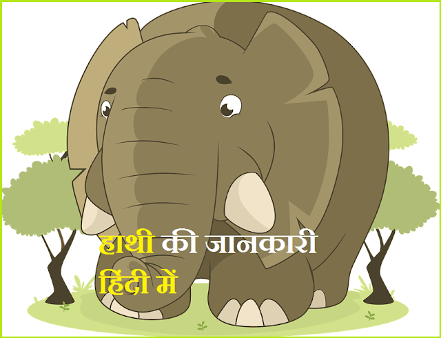 Information About Elephant In Hindi