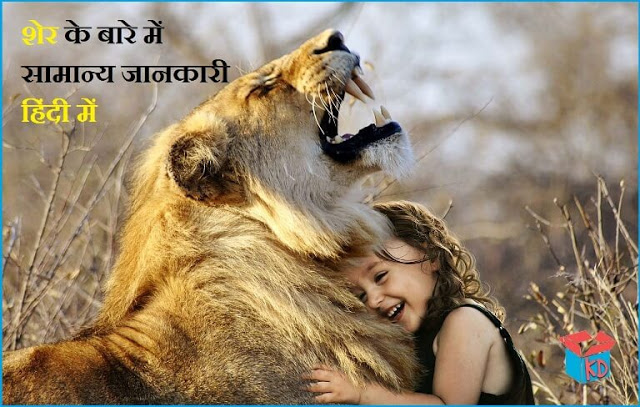 Information About Lion In Hindi