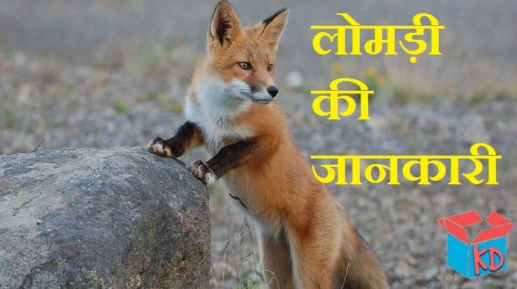 Fox Information In Hindi