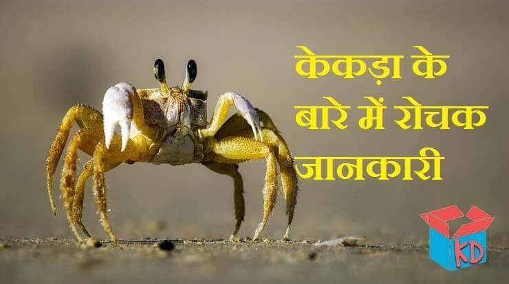 crab information in hindi