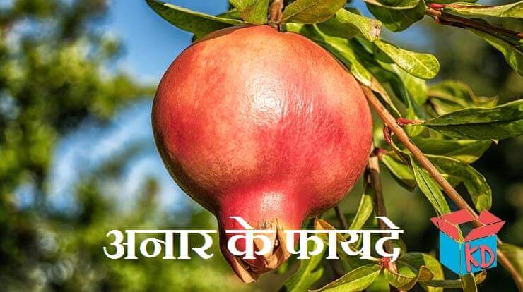 Benefit Of Pomegranate In Hindi