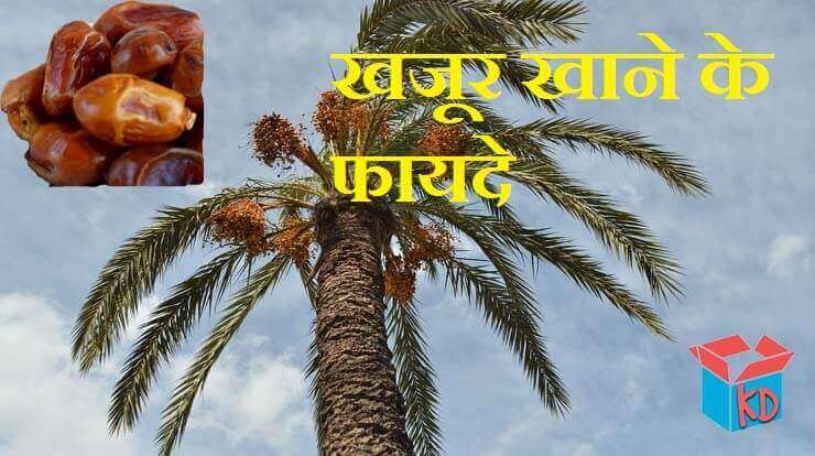 Benefits Of Dates In Hindi