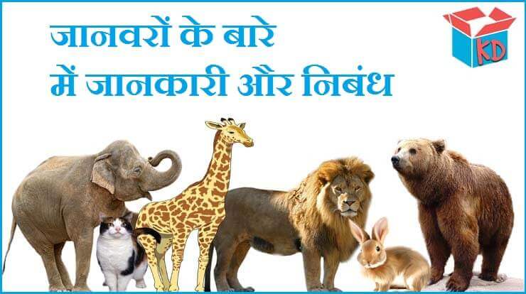 Information About Animals In Hindi