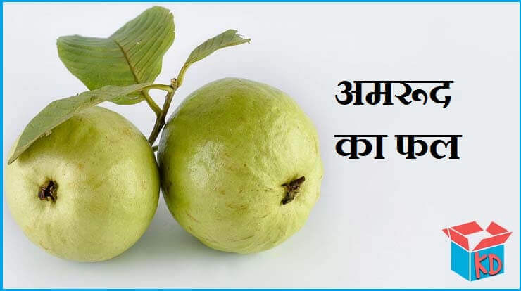 Guava Fruit In Hindi