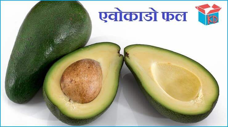 Avocado Fruit In Hindi