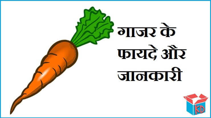 Information About Carrot In Hindi