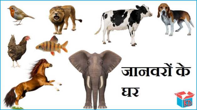 animals and their homes in hindi