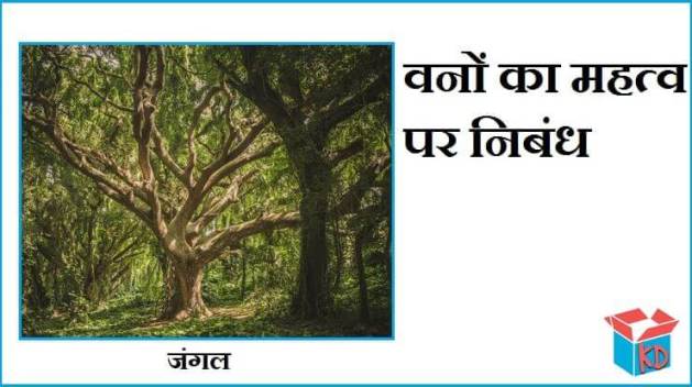 Forest Essay In Hindi