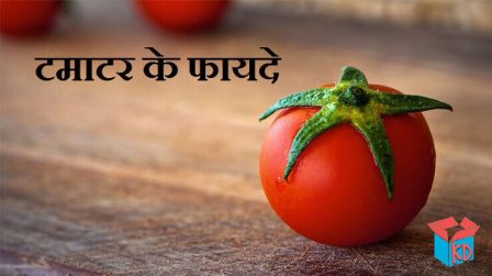 Tomato Information In Hindi