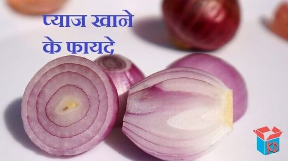 About Onion In Hindi