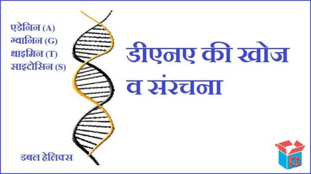 DNA Ki Khoj Kisne Ki