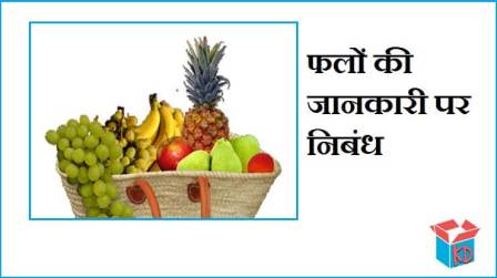 Information About Fruits In Hindi