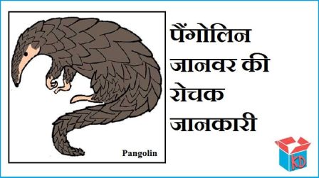 Information About Pangolin Animal In Hindi