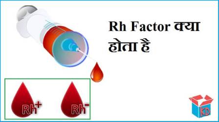 What Is Rh Factor In Hindi