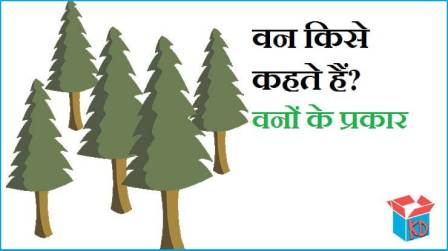 Types Of Forest In Hindi