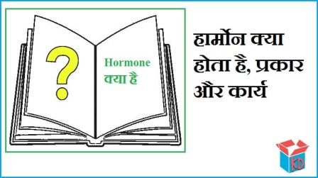 Hormone Kya Hai In Hindi