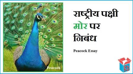 Essay On Peacock In Hindi Language