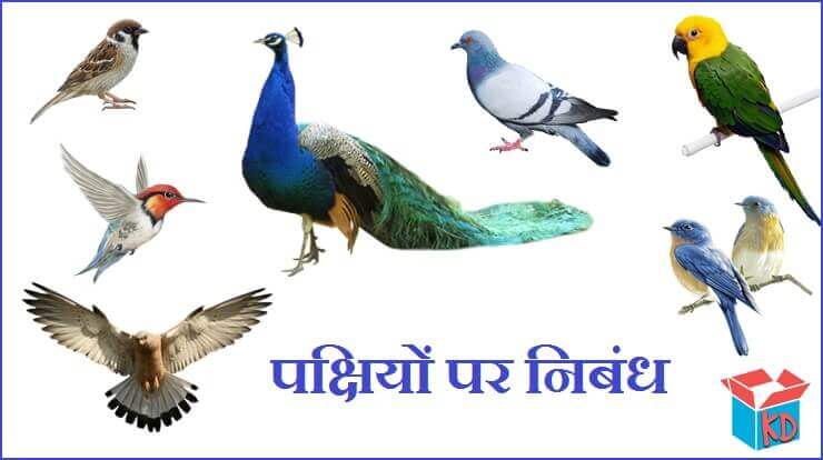 the birds essay in hindi